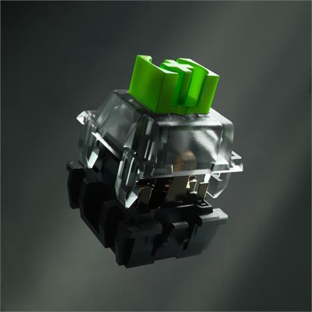 blackwidowv32020mechanicalswitch2.jpg
