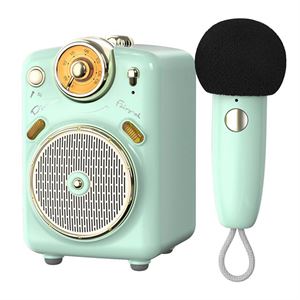 Divoom Fairy-2 Karaoke Mikrofonlu FM Radyolu Bluetooth Hoparlör, Yeşil 