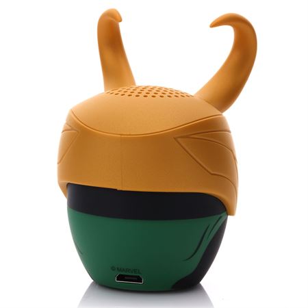 loki_0002_loki_right_back.jpg