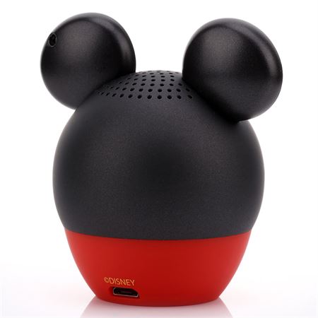 mickey_0002_mickey_back.jpg