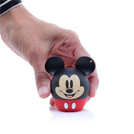 mickey_0004_mickey_inhandfront.jpg