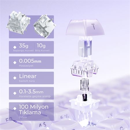 gravastar-mercury-v75-he-hall-effect-manyetik-switch-gaming-klavye-purple-94.jpg