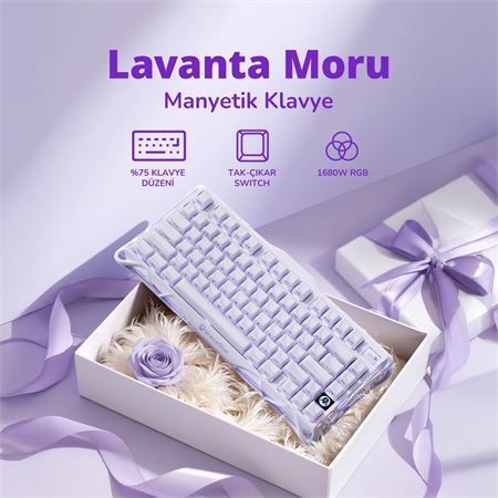 gravastar-mercury-v75-he-hall-effect-manyetik-switch-gaming-klavye-purple-98.jpg
