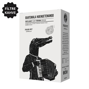 Noir Pit Coffee Co. Guatemala Filtre Kahve 250 g