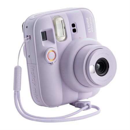 mini-13-dreamy-purple-web-7.jpg